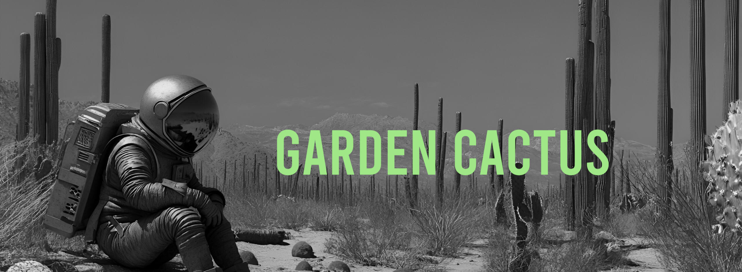 Garden Cactus Records & Publishing